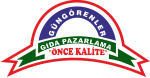 GÜNGÖRENLER LOGO kopya